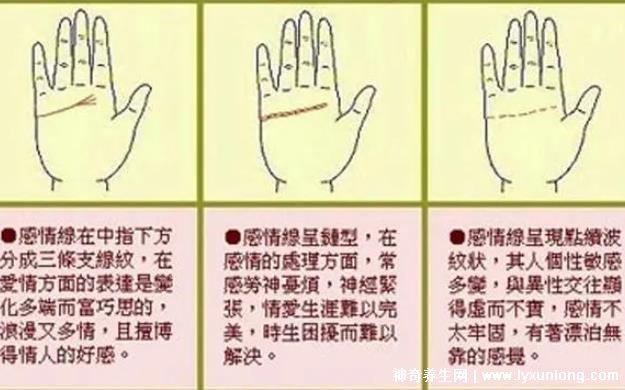 掌紋圖解女右手詳解圖片，事業線到中指根部會有所成就