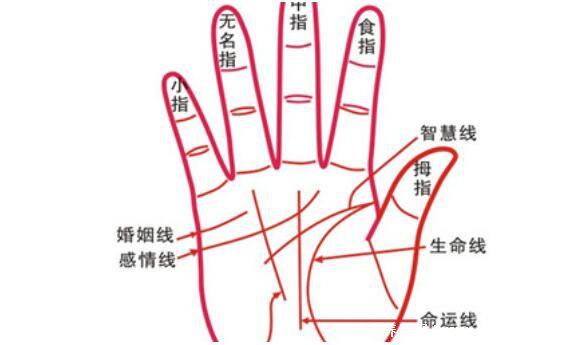 掌紋圖解女右手詳解，女人右手掌紋圖解算命(有財運線大富大貴)