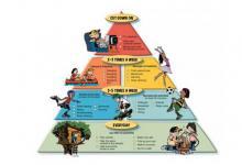 運動有個金字塔 你在第幾層