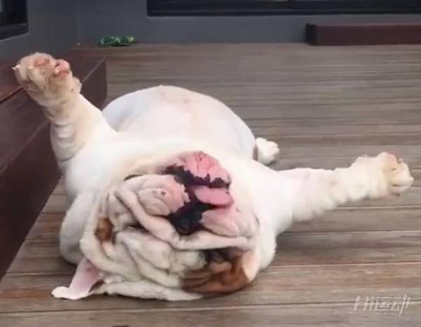 不花錢也能健身，8個徒手動作練遍全身，最后一個被99%的人忽略