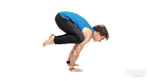 每天一式學瑜伽：烏鴉式！加強腹部肌群力量