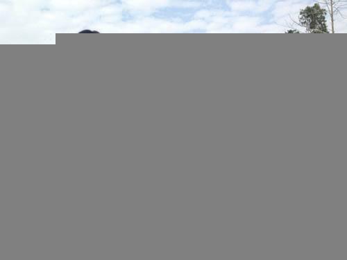 蛻變記 140斤胖妞的減肥心得分享