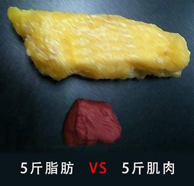 利用InBody，5分鐘讀懂你的身體