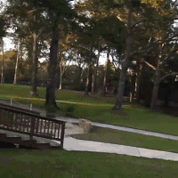 身殘志堅 Zack Ruhl的健身故事