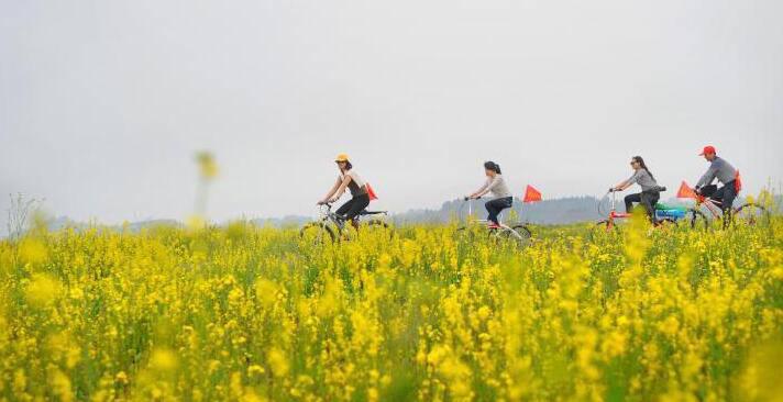 登山步行 適合春季的四個戶外鍛煉