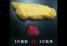 利用InBody，5分鐘讀懂你的身體