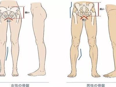 瑜伽老師的私密體式動作教程分析，打開胯部正確練習(xí)瑜伽