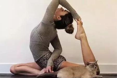 瑜伽初入門教學視頻 適合初學者懶人在家也能練