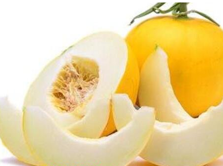 幾款能夠快速減肥早餐搭配-易網(wǎng)<a href=http://m.henggaotouzi.com/ target=_blank class=infotextkey>健康養(yǎng)生</a>網(wǎng) 幾款能夠快速減肥早餐搭配