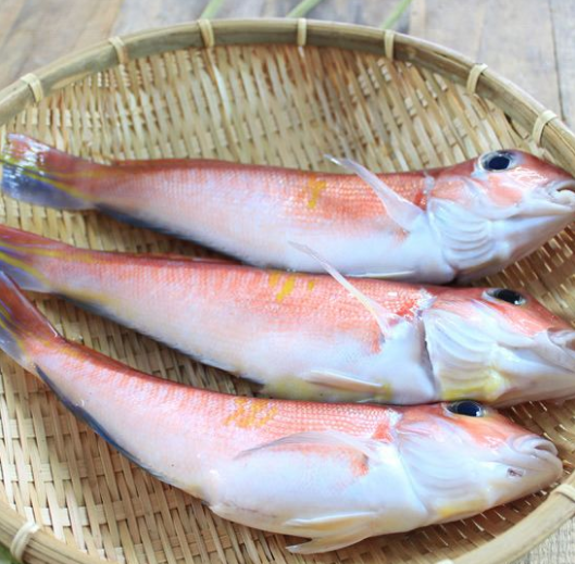 2019馬頭魚多少錢一斤?馬頭魚的功效與作用及食用方法