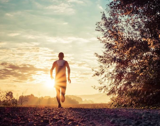 村上春樹：跑步與意志無關