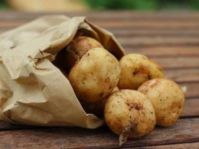 土豆減肥法26天37斤