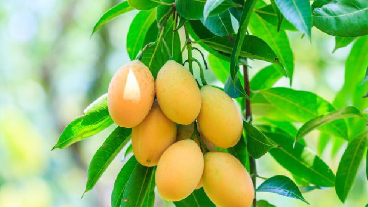 減肥餐與美味無緣 最好吃的減肥食物排行榜