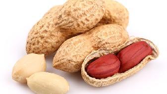 花生能平衡膳食，有效減肥