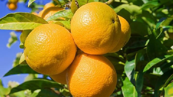 最全的蘋果減肥餐 助你全天候減肥快速瘦身