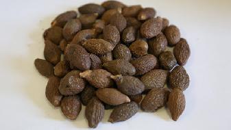 不節(jié)食也能減肥，學這幾個方法即可