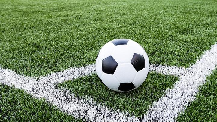 綠豆芽減肥餐堅持吃 瘦身效果不比運動差