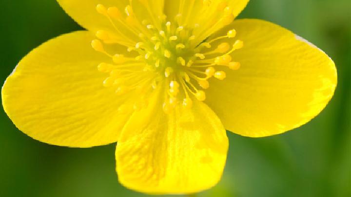 推薦優(yōu)質(zhì)美味減肥餐 美味減肥餐讓你把減肥當(dāng)享受