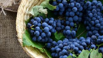 減肥知識(shí) 最容易長(zhǎng)胖的幾種“瘦身食物”