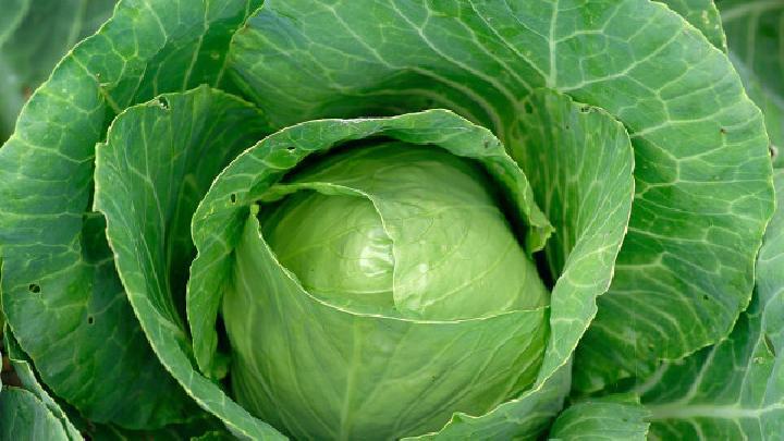 排毒減肥餐秘笈分享 這樣吃讓你7天變身白美瘦