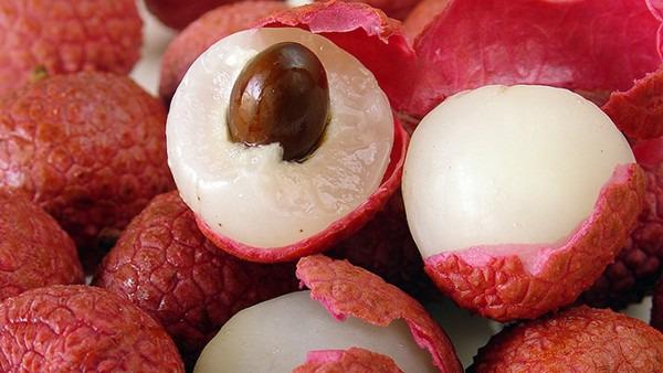 怎樣才能健康飲食減肥 健康不反彈的減肥方法都有哪些