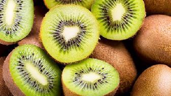 節食減肥為何總是反彈？