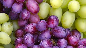 減肥第一大敵,饑渴感怎么消除?-易網健康<a href=http://m.henggaotouzi.com/jkys/ target=_blank class=infotextkey>養生</a>網 減肥第一大敵,饑渴感怎么消除?