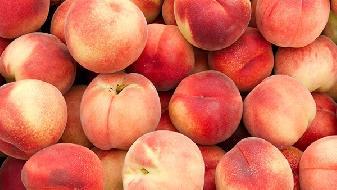 有關(guān)飲食飲食減肥的常見(jiàn)誤區(qū)