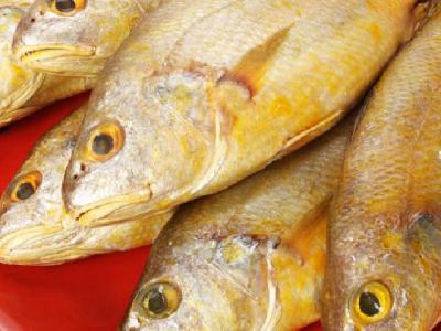 不容錯(cuò)過的經(jīng)期減肥食譜推薦 女性經(jīng)期減肥最快秘籍不容錯(cuò)過