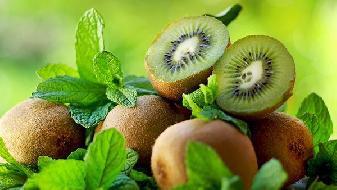 減肥指南 光挑素菜吃就不會(huì)長胖？