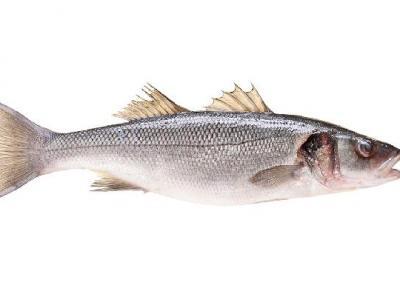 蜂蜜減肥食譜是常見的營養品 4種蜂蜜減肥食譜排毒養顏