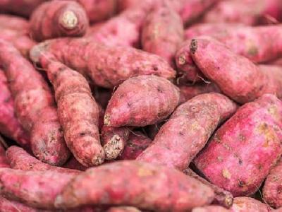 高蛋白低碳飲食有哪些危害 高蛋白低碳飲食可以減肥