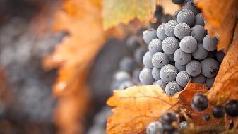 減肥怎么增加飽腹感，6個方法很靠譜