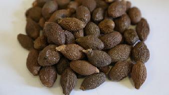 睡前能吃東西嗎？減肥者必看這些知識