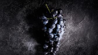 飲食減肥誤區，我們都誤解了脂肪