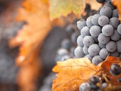 簡單減肥瑜伽動作盤點 推薦這6步減肥又健身