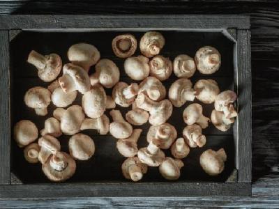 中醫減肥有什么優勢？中醫減肥的特點是什么？