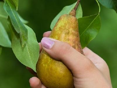 喝水能減肥嗎？喝水對減肥有哪些好處？