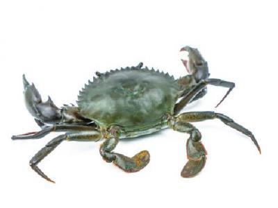 減肥初期體重增加怎么辦？運(yùn)動在減肥種的作用是什么？