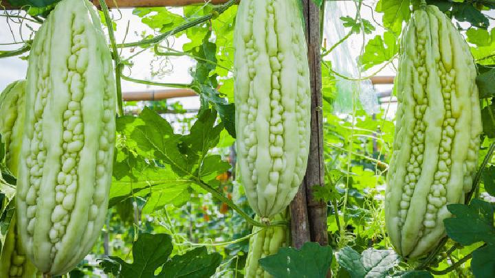 山楂片泡水的功效是什么？可以達到減肥目的嗎？