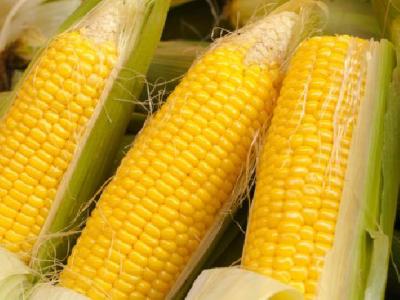 減肥茶有哪些？推薦三款自制中藥減肥茶快速瘦身