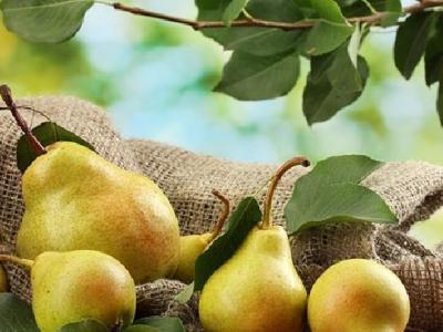 牙齒健康與體重有關(guān)嗎？減肥對牙有好處嗎？