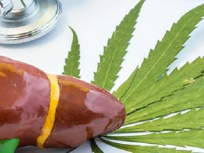 洗澡也能減肥？中藥泡澡瘦身效果好