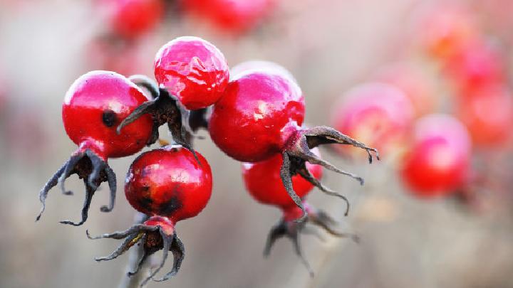 腰腹部減肥最好的運動有什么？如何運動能瘦腰瘦肚子？