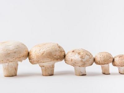 怎么樣爬樓梯減肥？爬樓梯減肥的正確方法是什么？