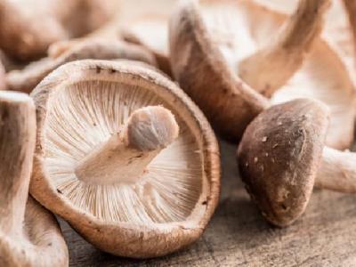 什么運動可以有效快速減肥？減肥效果最好的運動方法