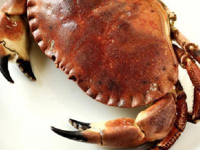 柚子皮能減肥嗎?教你如何用柚子皮減肥