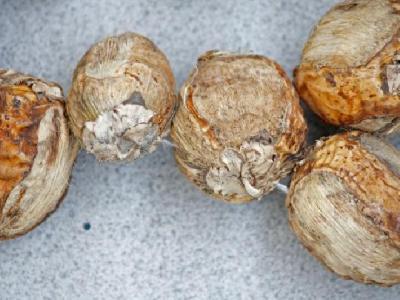 減肥瘦肚子的動作有哪些？如何運動能瘦肚子？