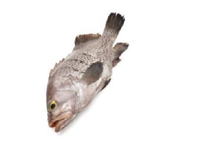 米飯加什么可以減肥？煮米飯加點這些竟然能減肥