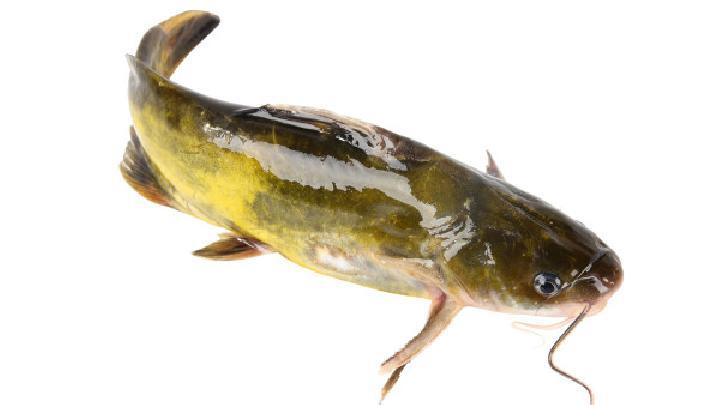 中醫減肥的效果好嗎？3種中醫減肥好方法推薦